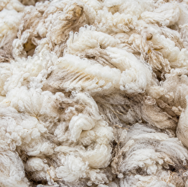 RAW WOOL
