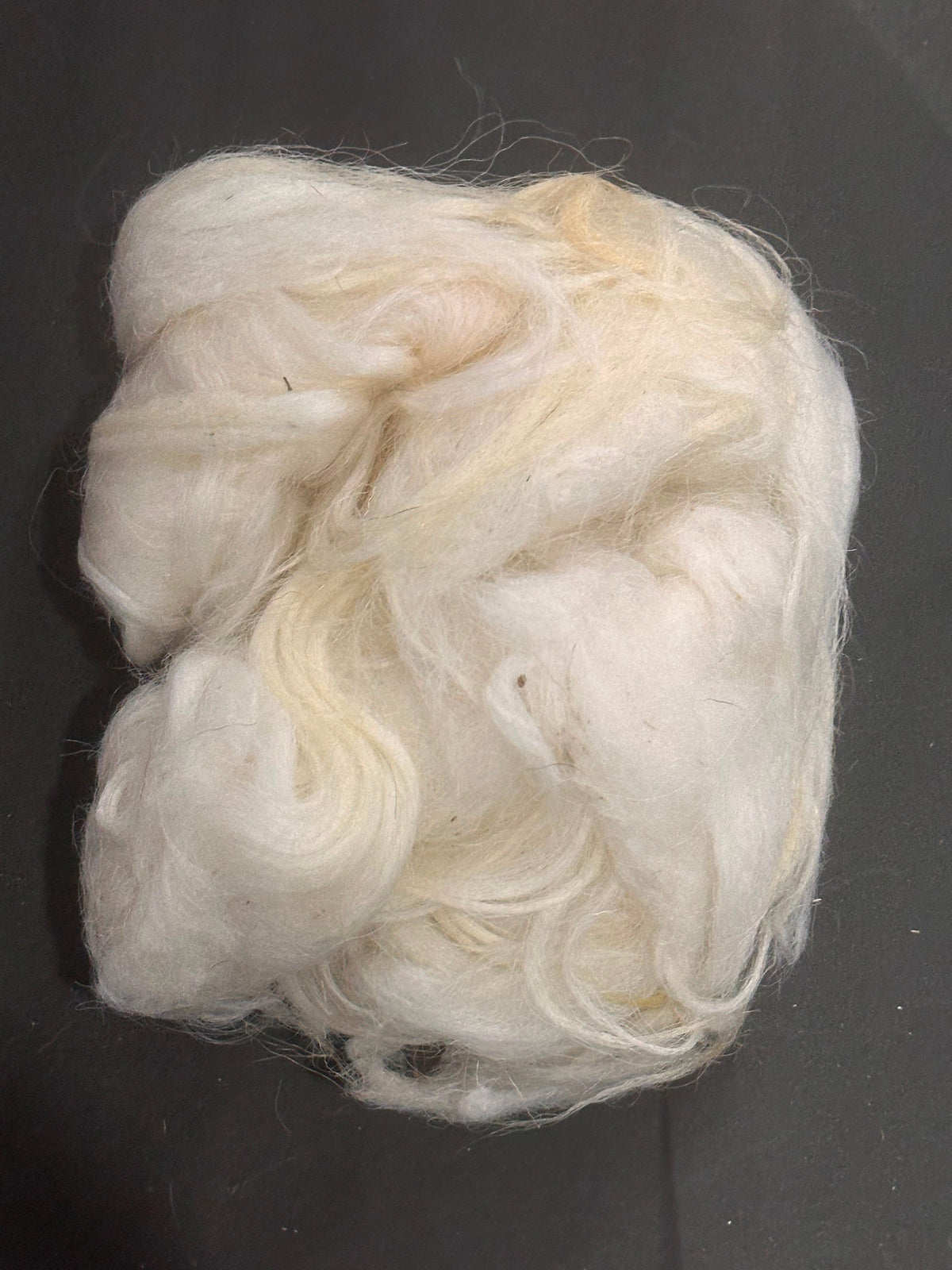 Romanian Raw Wool