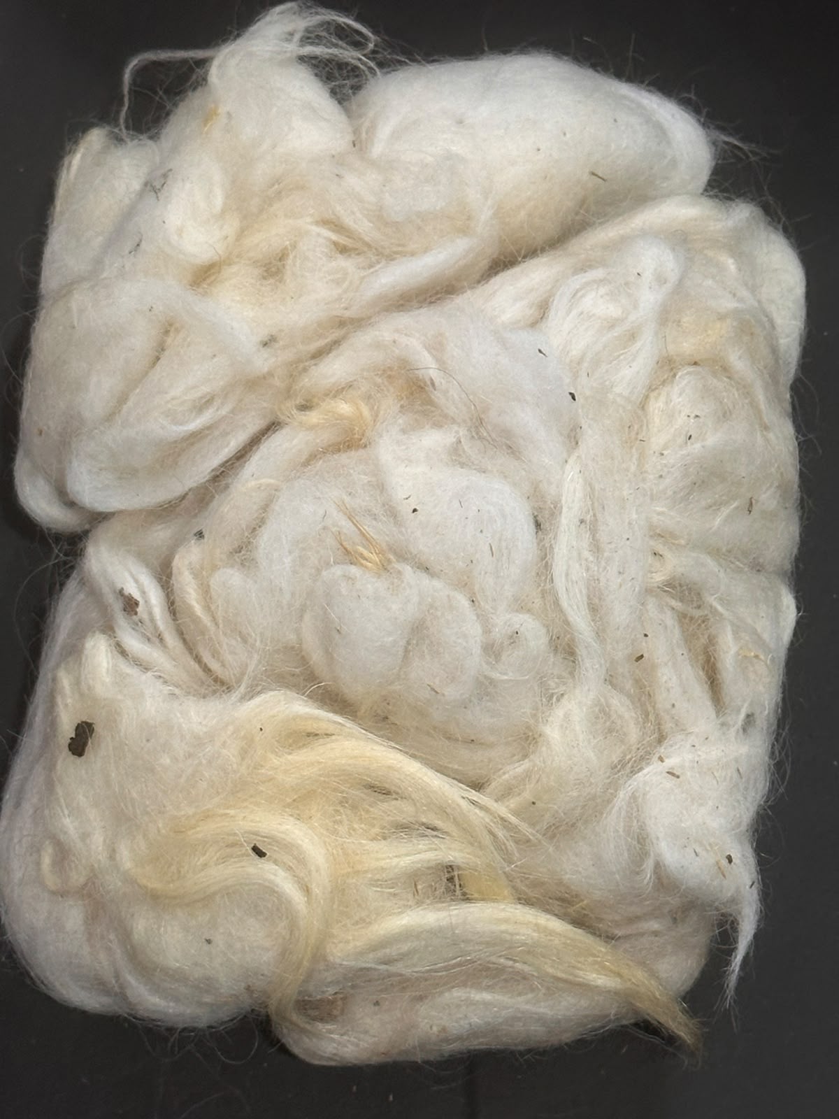 Sardinian Raw Wool